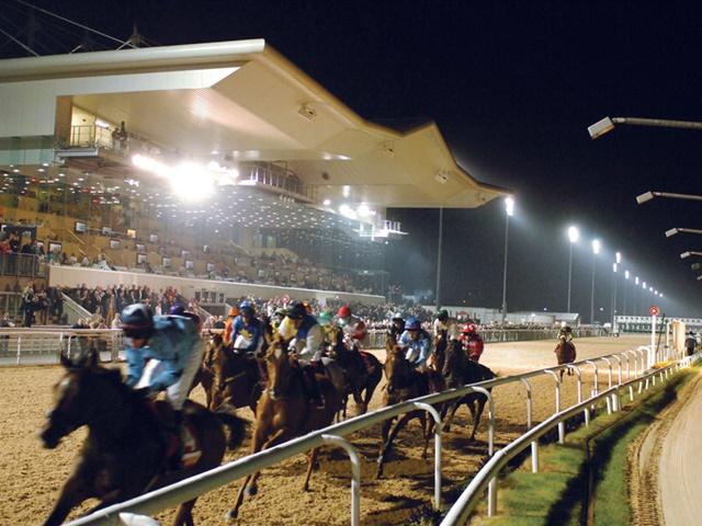 They're racing under the lights at Dundalk on Friday